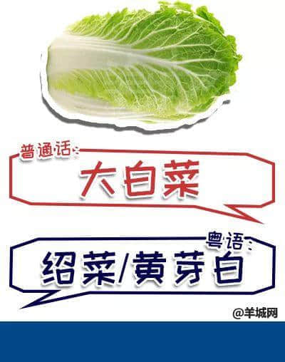 系唔系正宗广府人,行个街市就知道晒! 系唔系正宗广府人,行个街市就知道晒!