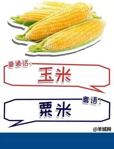 系唔系正宗广府人,行个街市就知道晒! 系唔系正宗广府人,行个街市就知道晒!