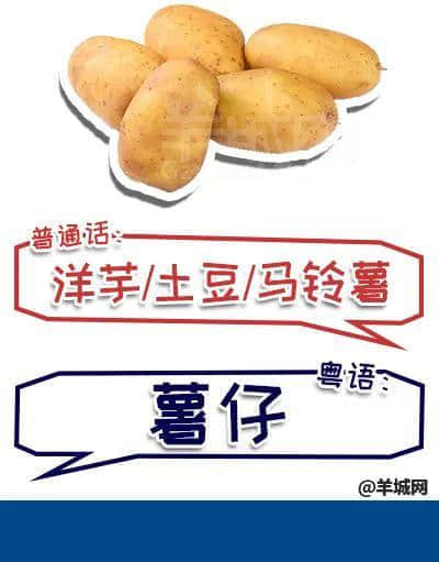 系唔系正宗广府人,行个街市就知道晒! 系唔系正宗广府人,行个街市就知道晒!