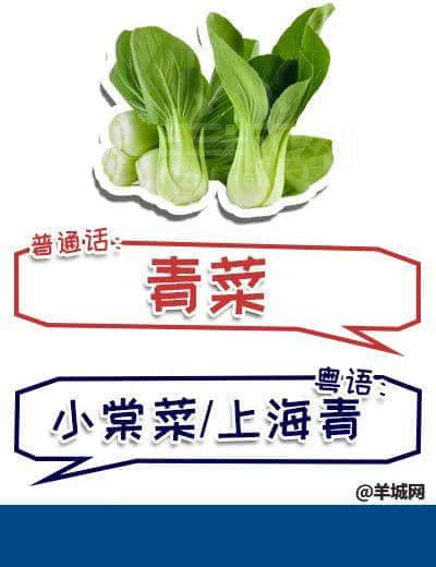 系唔系正宗广府人,行个街市就知道晒! 系唔系正宗广府人,行个街市就知道晒!