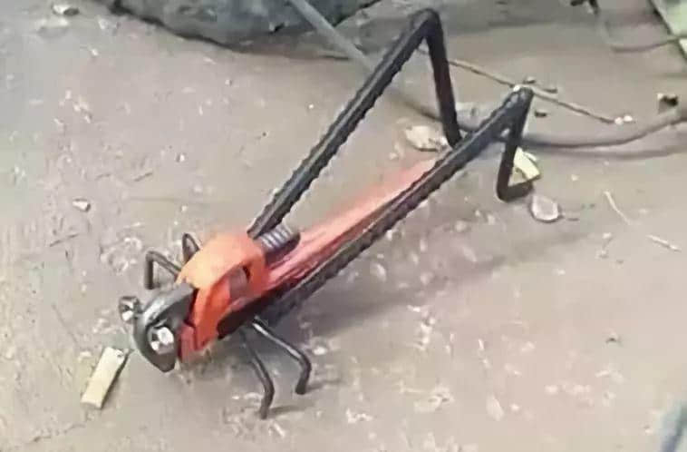 最惨网红!设计1000多件产品,各个火爆,却一个都没人买... 最惨网红!设计1000多件产品,各个火爆,却一个都没人买...