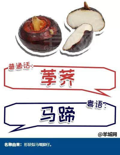 系唔系正宗广府人,行个街市就知道晒! 系唔系正宗广府人,行个街市就知道晒!