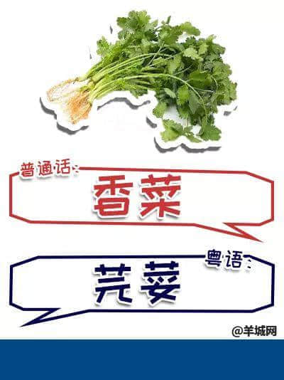 系唔系正宗广府人,行个街市就知道晒! 系唔系正宗广府人,行个街市就知道晒!