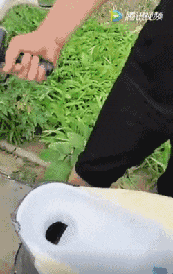 最惨网红!设计1000多件产品,各个火爆,却一个都没人买... 最惨网红!设计1000多件产品,各个火爆,却一个都没人买...