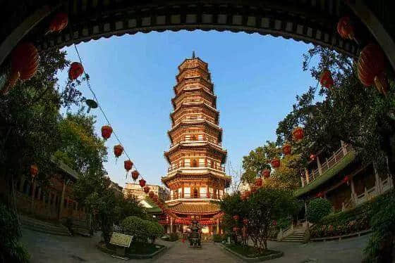 广州再多高楼,都不如小时候嘅榕树头 广州再多高楼,都不如小时候嘅榕树头