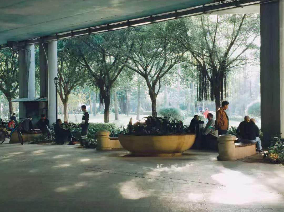 广州再多高楼,都不如小时候嘅榕树头 广州再多高楼,都不如小时候嘅榕树头