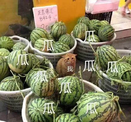 对不起,这份粤语吃瓜指南来迟了! 对不起,这份粤语吃瓜指南来迟了!