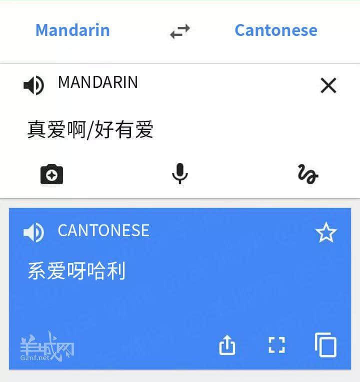 对不起,这份粤语吃瓜指南来迟了! 对不起,这份粤语吃瓜指南来迟了!