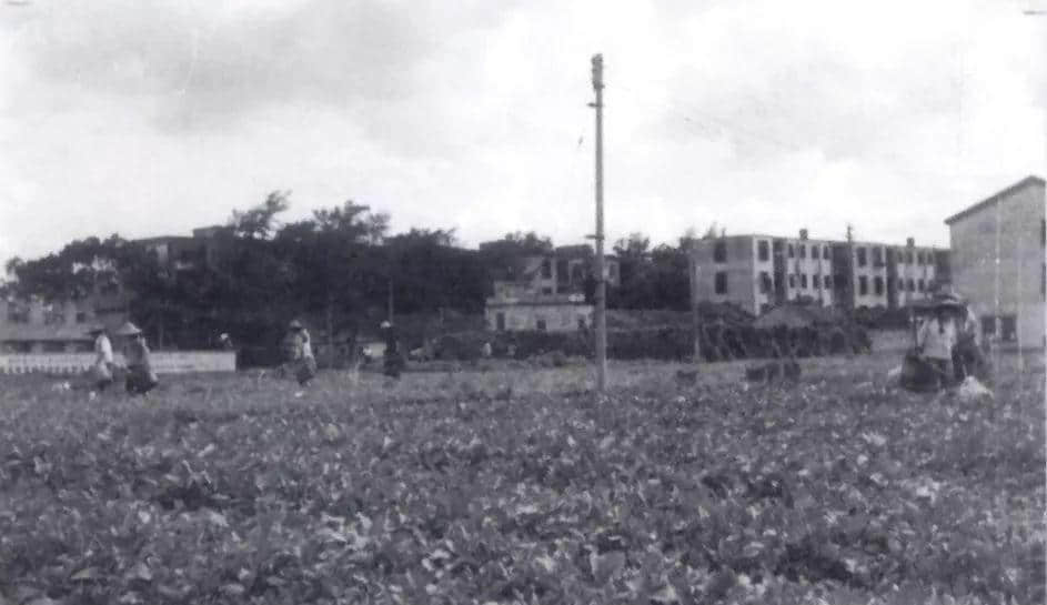 广州老七区,为什么白云区存在感最低? 广州老七区,为什么白云区存在感最低?