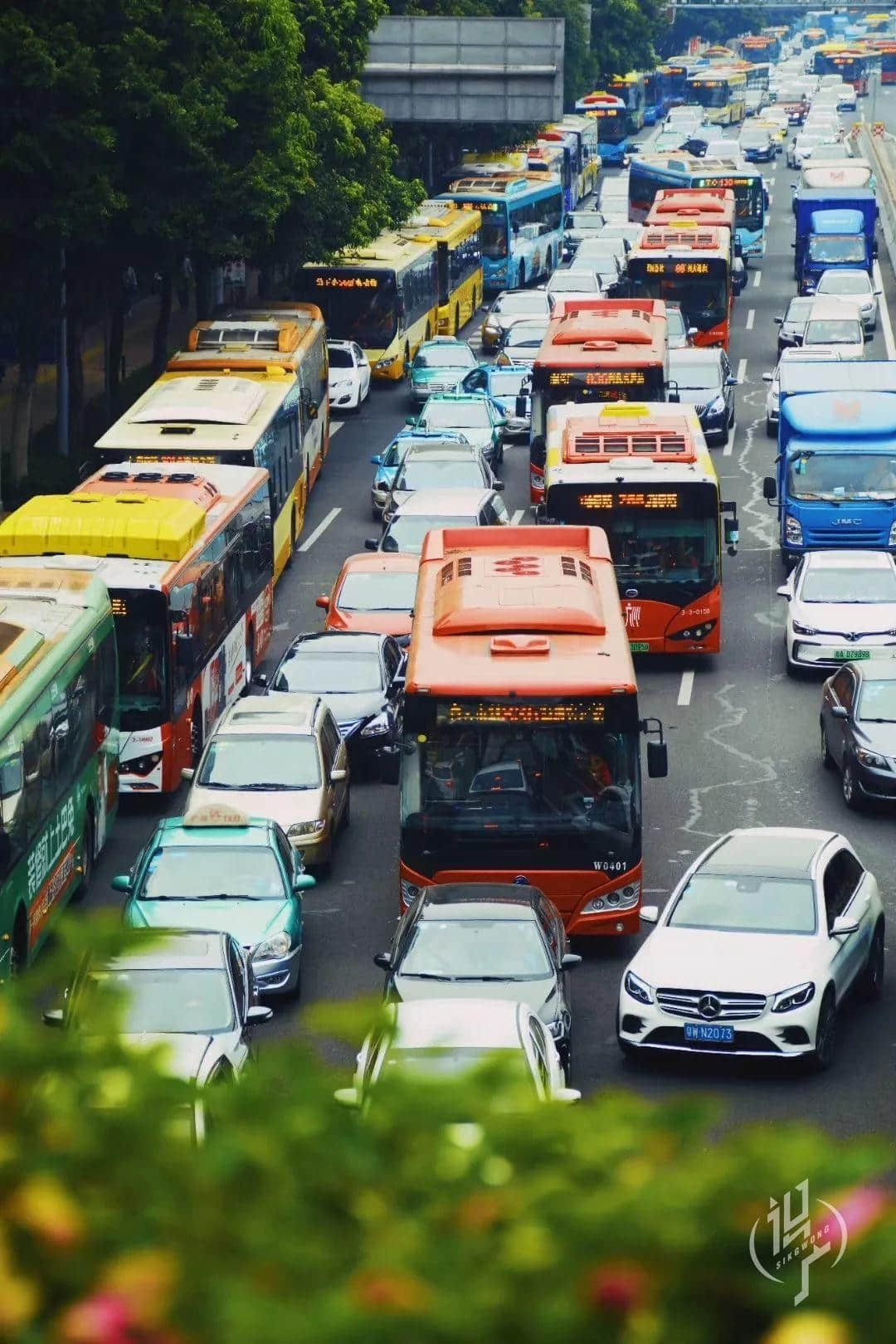 从黎明到夜深,广州人从一条队排到了另一条队 从黎明到夜深,广州人从一条队排到了另一条队