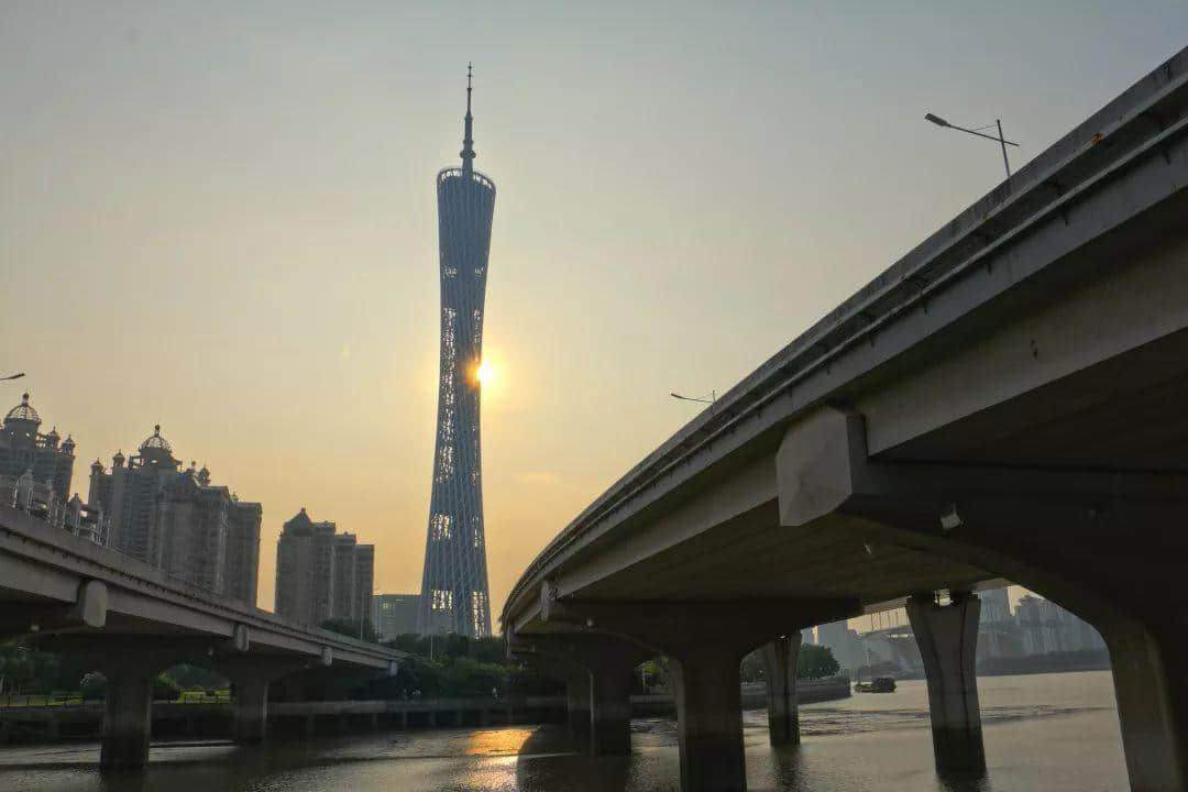 广州再多高楼,都不如小时候嘅榕树头 广州再多高楼,都不如小时候嘅榕树头