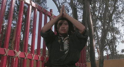 千祈唔好同广东人嘈交,因为佢哋都系星爷徒弟! 千祈唔好同广东人嘈交,因为佢哋都系星爷徒弟!