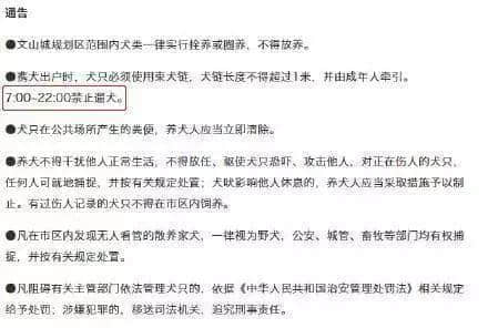 @广州人,你是个合格的狗主人吗? @广州人,你是个合格的狗主人吗?