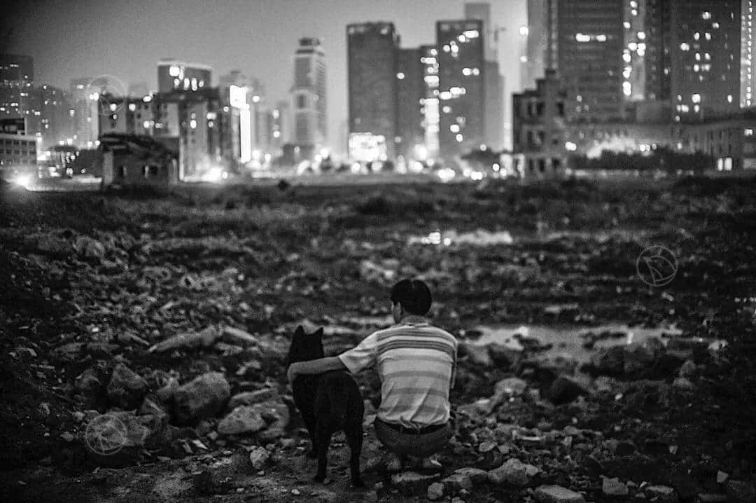 @广州人,你是个合格的狗主人吗? @广州人,你是个合格的狗主人吗?