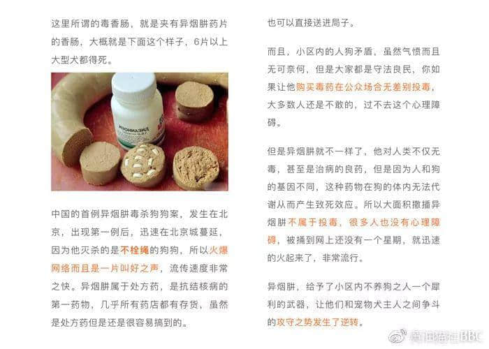 @广州人,你是个合格的狗主人吗? @广州人,你是个合格的狗主人吗?