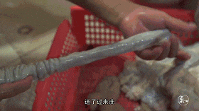 如果牛三星会说话,一定是广州口音! 如果牛三星会说话,一定是广州口音!