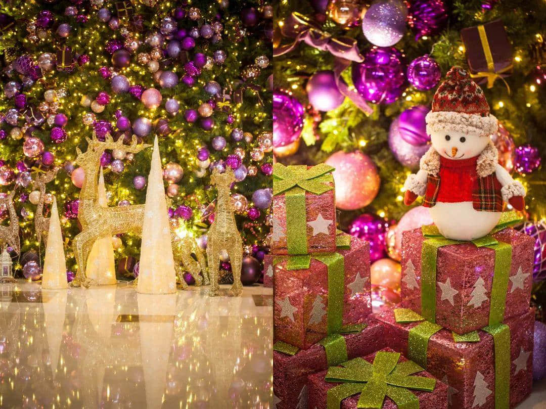 今年圣诞,我哋一于留喺广州睇“雪”! 今年圣诞,我哋一于留喺广州睇“雪”!