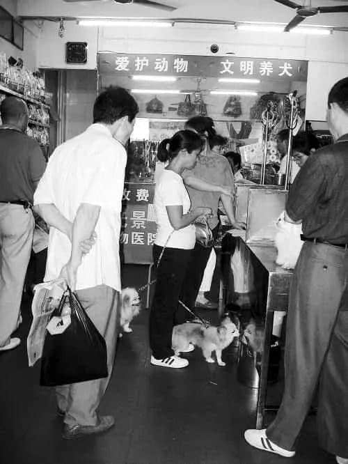 @广州人,你是个合格的狗主人吗? @广州人,你是个合格的狗主人吗?