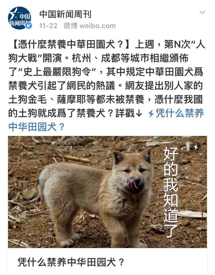 @广州人,你是个合格的狗主人吗? @广州人,你是个合格的狗主人吗?