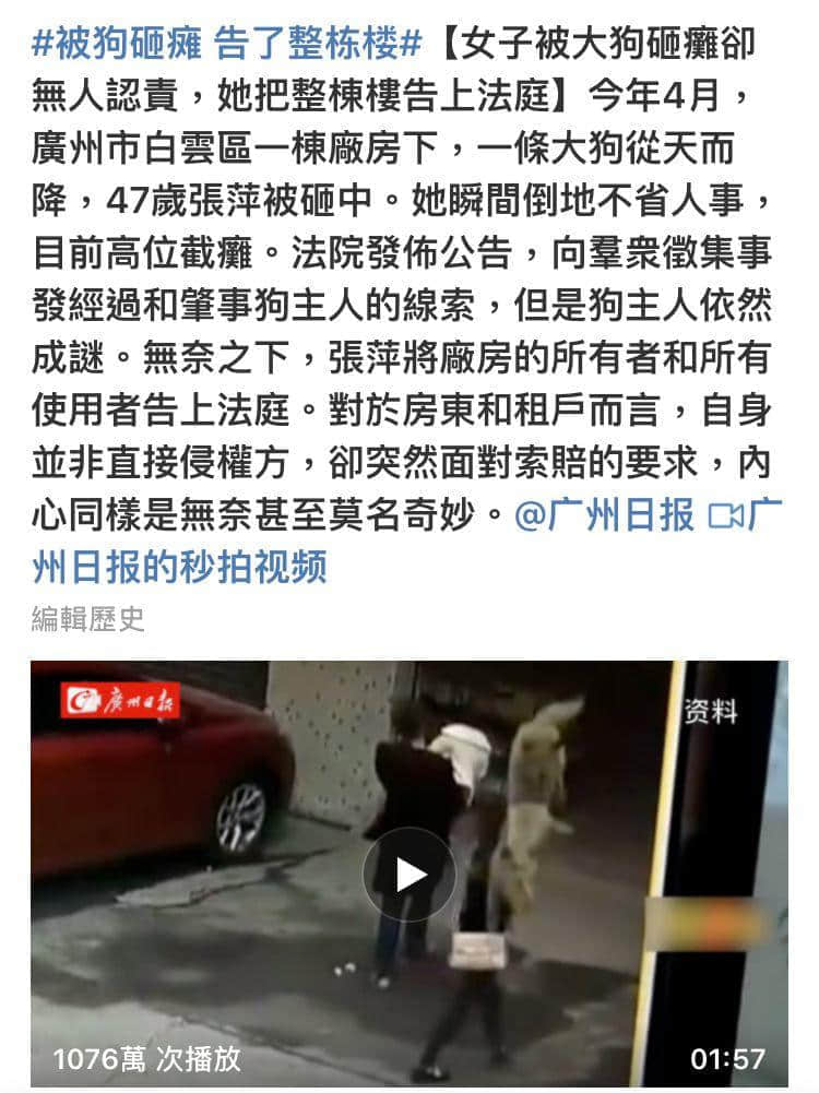 @广州人,你是个合格的狗主人吗? @广州人,你是个合格的狗主人吗?