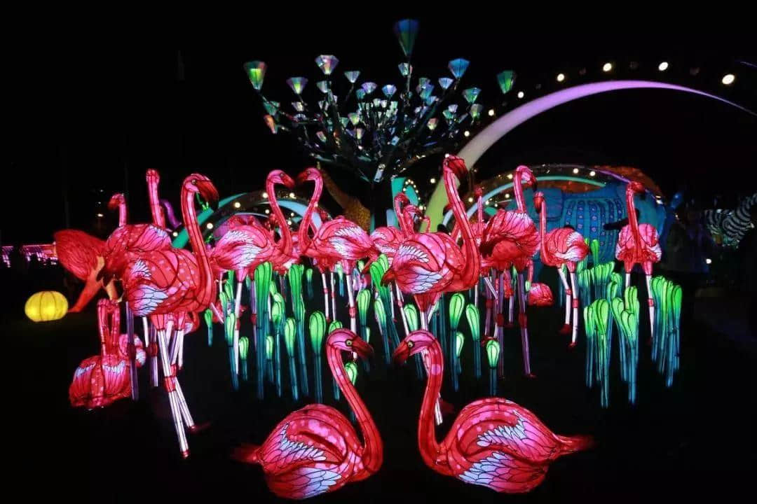 广州春节打卡圣地,追寻光与好玩的一切,尽在这里! 广州春节打卡圣地,追寻光与好玩的一切,尽在这里!