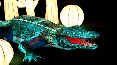 广州春节打卡圣地,追寻光与好玩的一切,尽在这里! 广州春节打卡圣地,追寻光与好玩的一切,尽在这里!