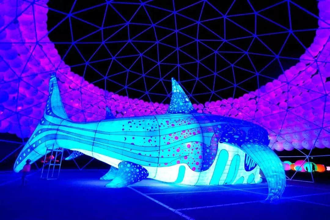 广州春节打卡圣地,追寻光与好玩的一切,尽在这里! 广州春节打卡圣地,追寻光与好玩的一切,尽在这里!