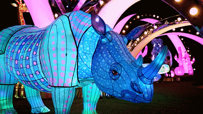 广州春节打卡圣地,追寻光与好玩的一切,尽在这里! 广州春节打卡圣地,追寻光与好玩的一切,尽在这里!