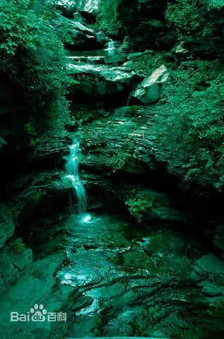 世界上最销魂嘅手,叫白云猪手 世界上最销魂嘅手,叫白云猪手