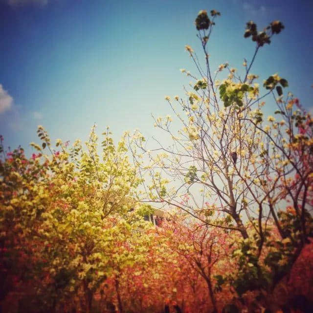 呕血整理!只有一个地方,系广州单身狗嘅避难所! 呕血整理!只有一个地方,系广州单身狗嘅避难所!