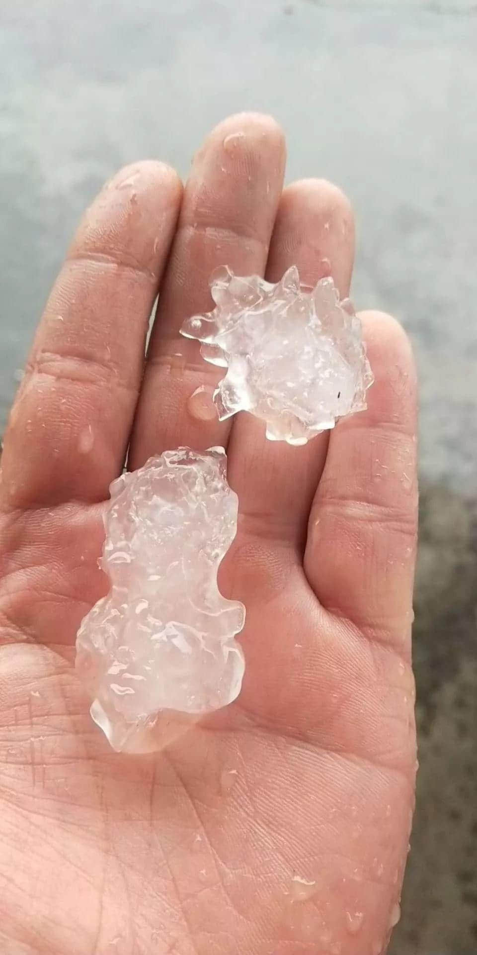 22℃+回南天+下冰雹,广州的天气总有他自己的想法! 22℃+回南天+下冰雹,广州的天气总有他自己的想法!