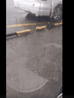 22℃+回南天+下冰雹,广州的天气总有他自己的想法! 22℃+回南天+下冰雹,广州的天气总有他自己的想法!