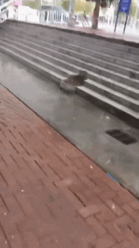 22℃+回南天+下冰雹,广州的天气总有他自己的想法! 22℃+回南天+下冰雹,广州的天气总有他自己的想法!