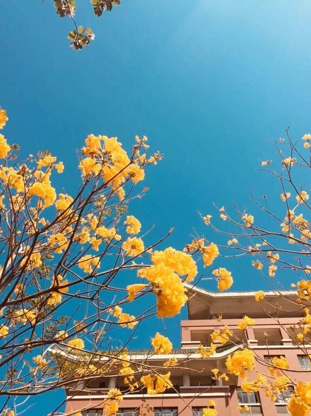 呕血整理!只有一个地方,系广州单身狗嘅避难所! 呕血整理!只有一个地方,系广州单身狗嘅避难所!