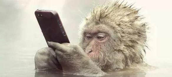 咩话?连胡适都识用粤语写诗! 咩话?连胡适都识用粤语写诗!