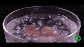 世界上最销魂嘅手,叫白云猪手 世界上最销魂嘅手,叫白云猪手