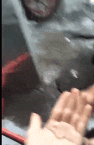 22℃+回南天+下冰雹,广州的天气总有他自己的想法! 22℃+回南天+下冰雹,广州的天气总有他自己的想法!