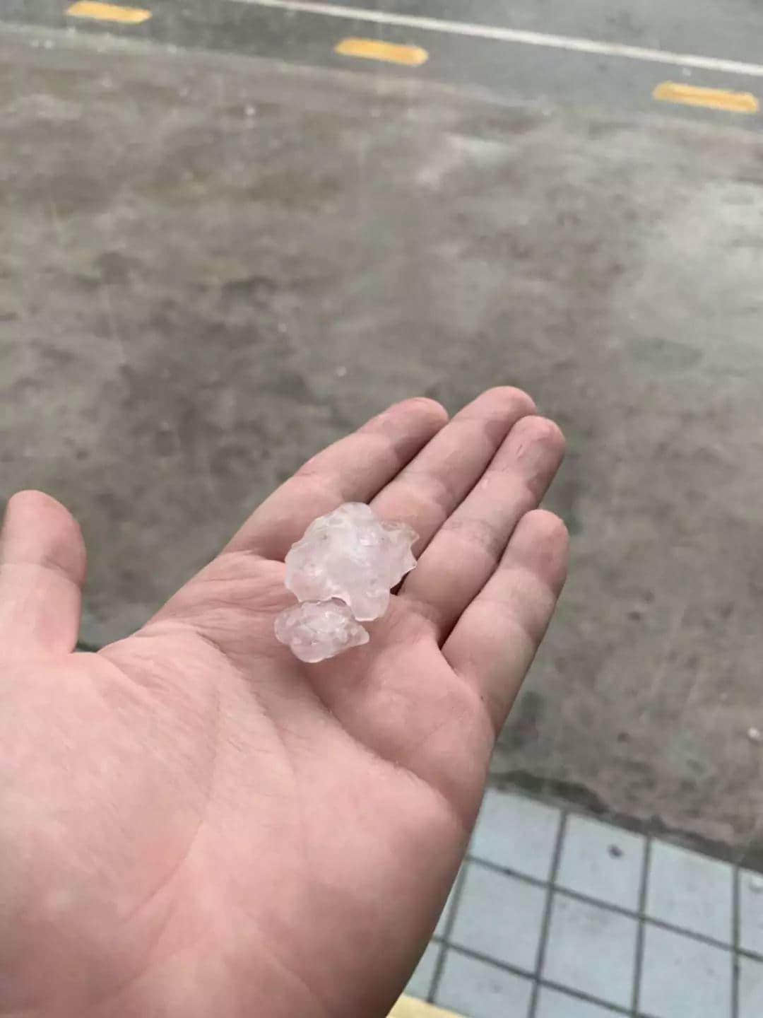 22℃+回南天+下冰雹,广州的天气总有他自己的想法! 22℃+回南天+下冰雹,广州的天气总有他自己的想法!