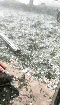 22℃+回南天+下冰雹,广州的天气总有他自己的想法! 22℃+回南天+下冰雹,广州的天气总有他自己的想法!