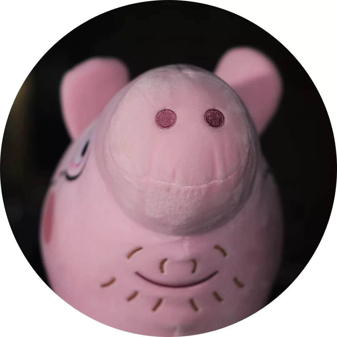 月薪五六百,蜗居棠下村 月薪五六百,蜗居棠下村