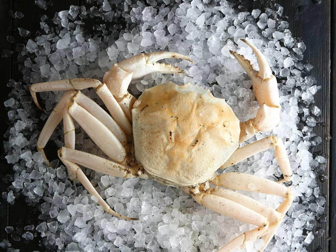 33年，这家服务了几代广州人的海鲜酒家却越做越年轻了！