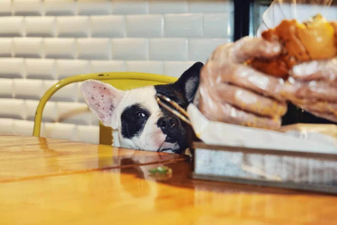 这家大学城里的隐秘汉堡店,让你知道汉堡真正的味道 这家大学城里的隐秘汉堡店,让你知道汉堡真正的味道