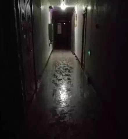 广东人回南天独家续命指南 广东人回南天独家续命指南