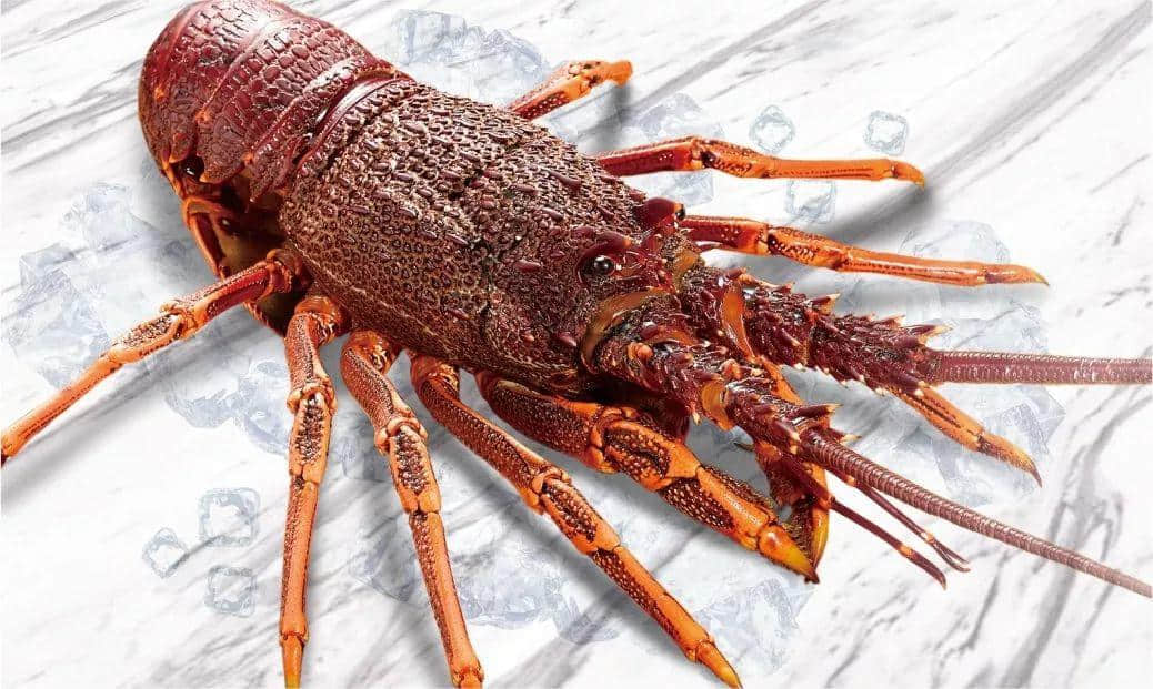 33年，这家服务了几代广州人的海鲜酒家却越做越年轻了！