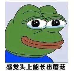 广东人回南天独家续命指南 广东人回南天独家续命指南