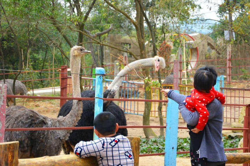 踏青来撒野 玩尽好时光! 踏青来撒野 玩尽好时光!