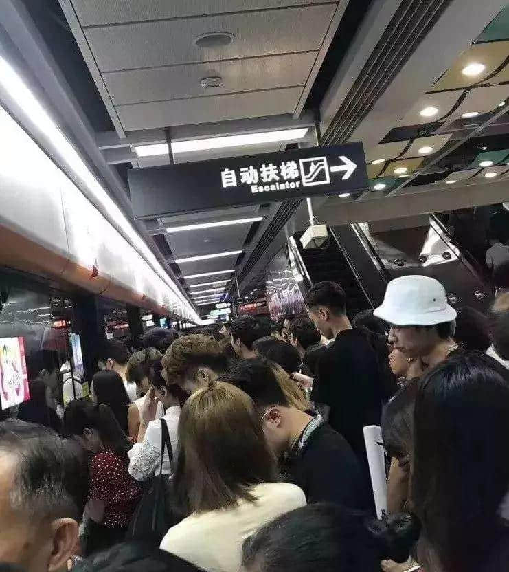 谈到广州,除了“饮茶”我们还能谈什么? 谈到广州,除了“饮茶”我们还能谈什么?