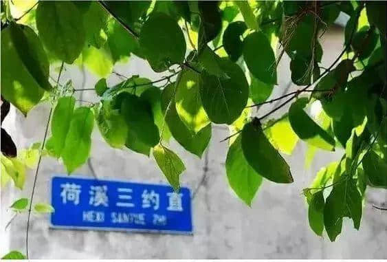 99%的广州人不知道,广州居然有这么多神奇路名! 99%的广州人不知道,广州居然有这么多神奇路名!