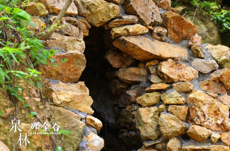 踏青来撒野 玩尽好时光! 踏青来撒野 玩尽好时光!