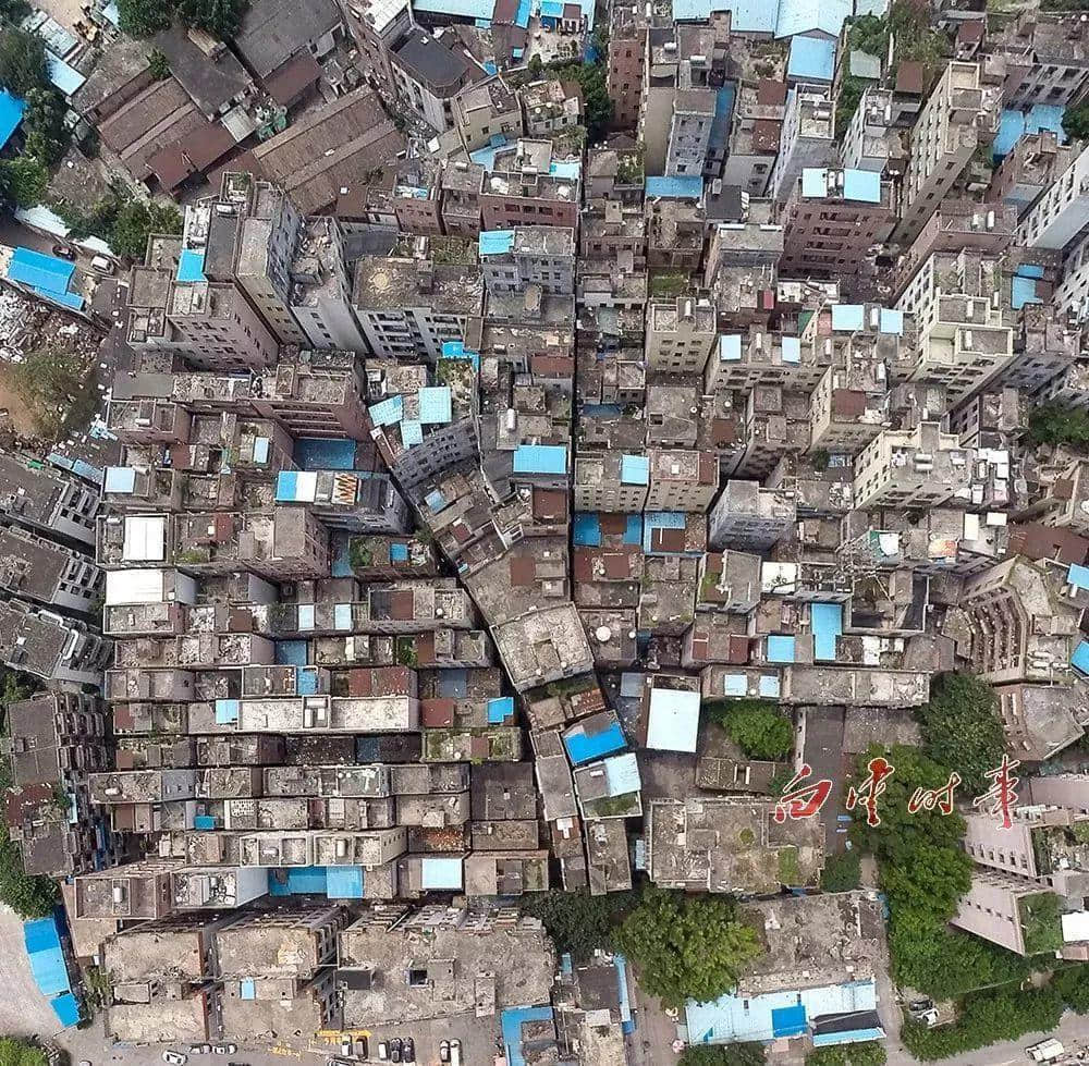 魔幻白云区现形记 魔幻白云区现形记